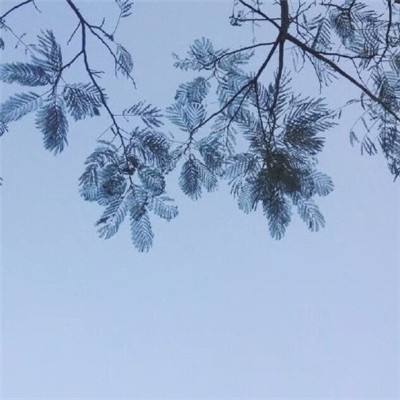 沧月战纪手游(暂未上线)v3.0 安卓官方版
